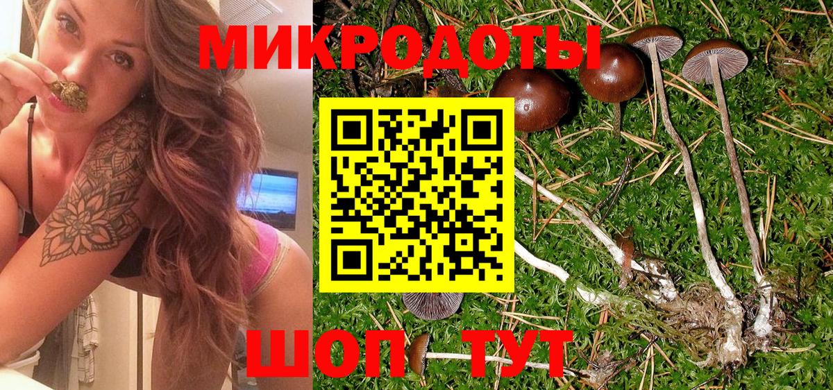 Псилоцибиновые грибы Magic Shrooms Железноводск