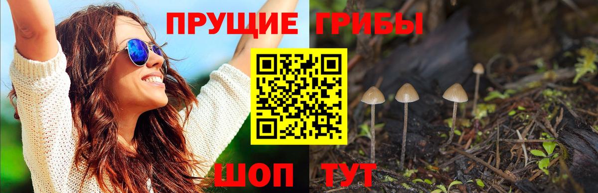Галлюциногенные грибы MAGIC MUSHROOMS  Галлюциногенные грибы прущие грибы  Вход с VPN  Железноводск 