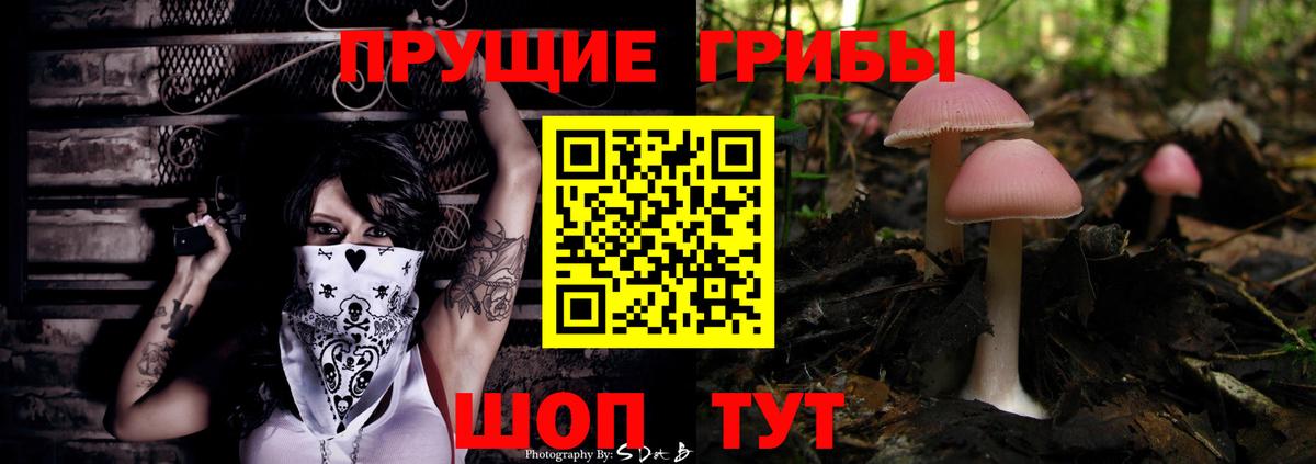 Псилоцибиновые грибы MAGIC MUSHROOMS Железноводск